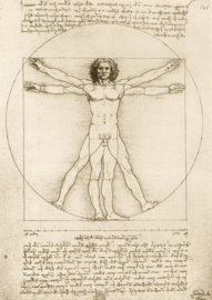 Bluebird 1000 stuks The Vitruvian Man 1490