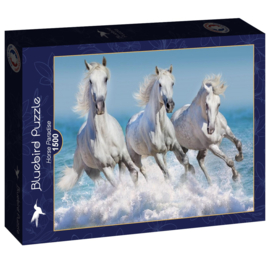 Bluebird 1500 stuks Horse Paradise