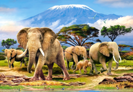Castorland 1000 stuks Kilimanjaro Morning