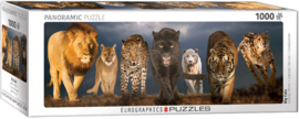 Eurographics 1000 stuks Big Cats