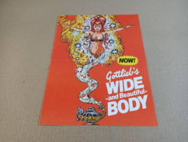 Flyer/ Folder: Gottlieb Genie (1979) Flipperkast