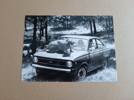 Photo: DAF 66 /Coupe/ Variomatic (1973) 24x18