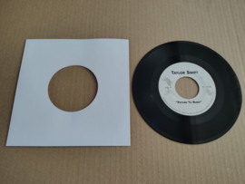 7" Single: Taylor Swift - Picture To Burn (2008) USA