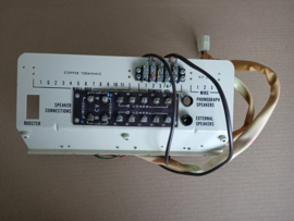 Speaker Output/ Panel (Wurlitzer Div)