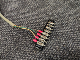 Speaker Cable (Rock-Ola 429)