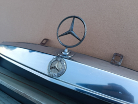 Gril / Car Display (Mercedes W123)