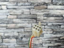 Cable Plug  Mechanism (NSM Div)