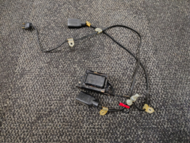 Light Cable 115v + Ballast (Rowe-AMi/ Diplomat/ JAO)