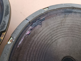 2x Speaker / Set/ 12" (Wurlitzer 3500/ Zodiac)