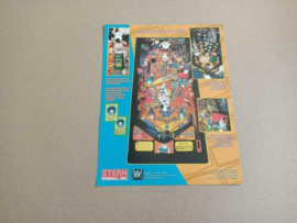 Flyer: Stern Family Guy (2007) Flipperkast