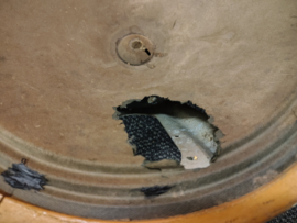 1x Speaker (AMi E120)