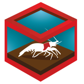 Shrimp supplies