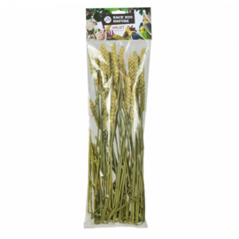 Back Zoo Nature Wheat