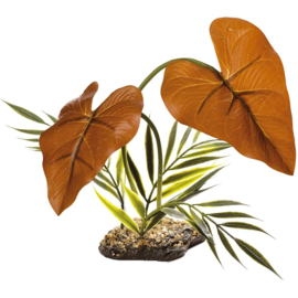 Komdo Rainforest Canopy 38cm