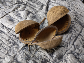Boeddha noot 8-12cm