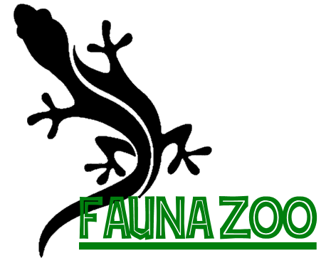 Fauna zoo