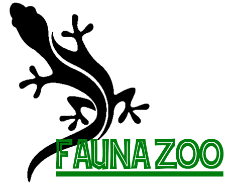 Fauna zoo