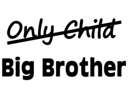 Strijkapplicatie - Only Child Big Brother