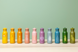 Bottle 500ml - Mrs. Pauw