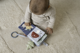 Buggyboekje Forest Friends