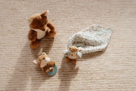 Giftset zacht - Blauw - Forest Friends
