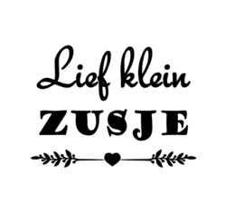 Strijkapplicatie - Lief klein zusje