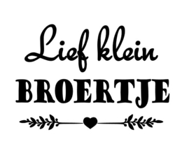 Strijkapplicatie - Lief klein broertje