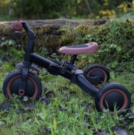4 in 1 driewieler KAYA Anthra met of zonder naam