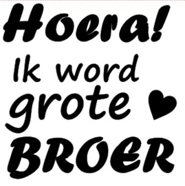 Strijkapplicatie - Hoera ik word grote broer