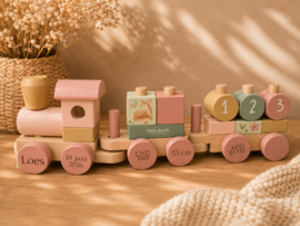 Blokkentrein - Fairy Garden