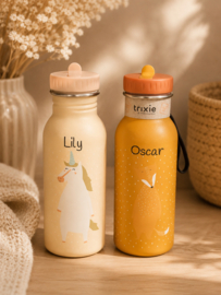 Bottle 500ml - Mr. Fox