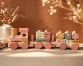 Blokkentrein - Fairy Garden