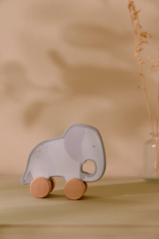 Giftset hout - Safari Friends