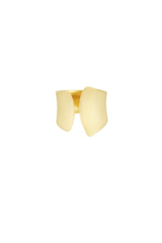 SUBTLE ELEGANCE RING-GOLD