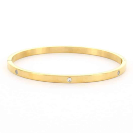 Armband Aimée 4 mm goudkleuring L 2174, KalliKalli
