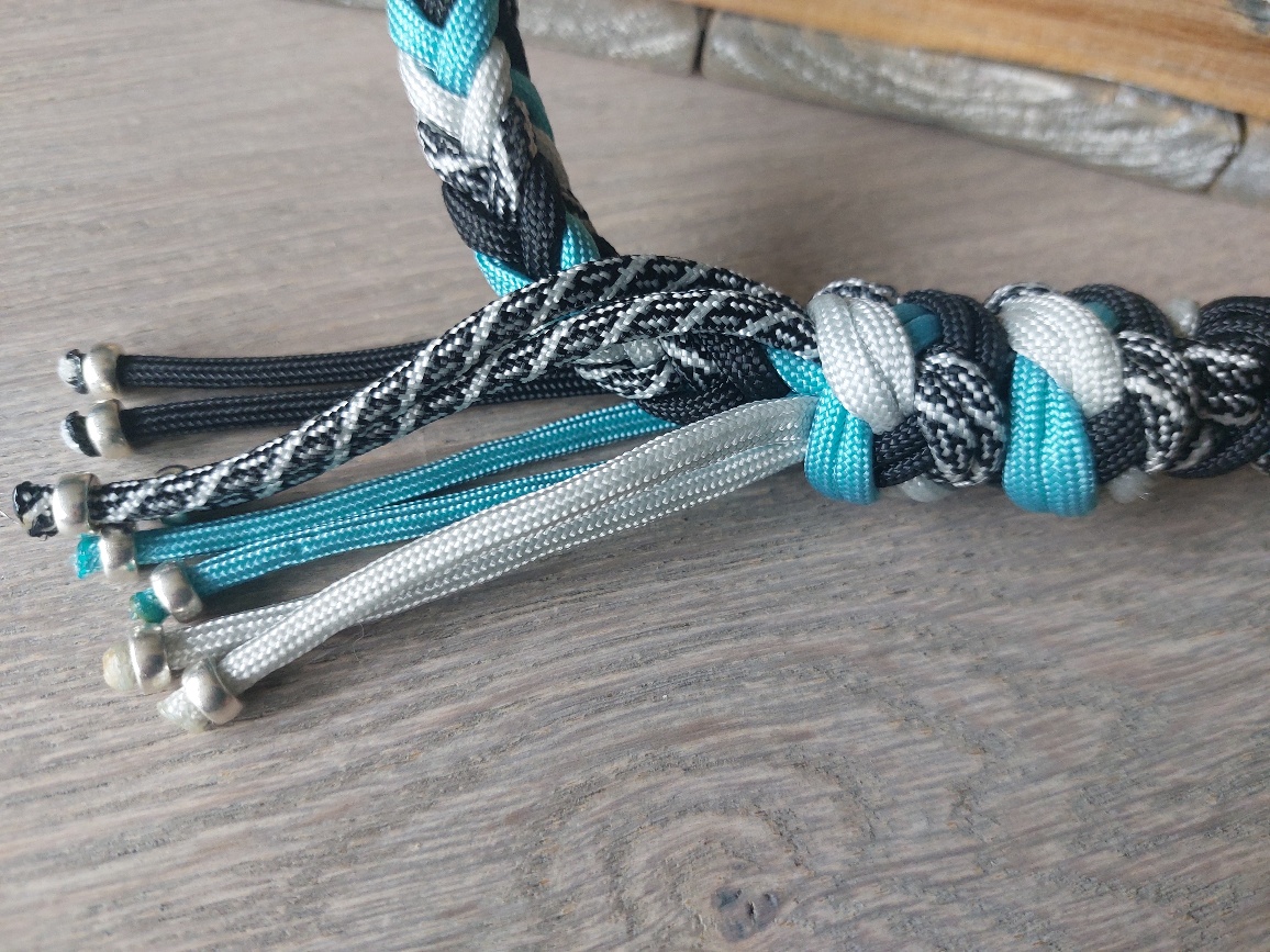 Hondenriem Luna black/blue