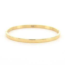 Armband Sophie 4 mm goudkleuring XL 2055, KalliKalli