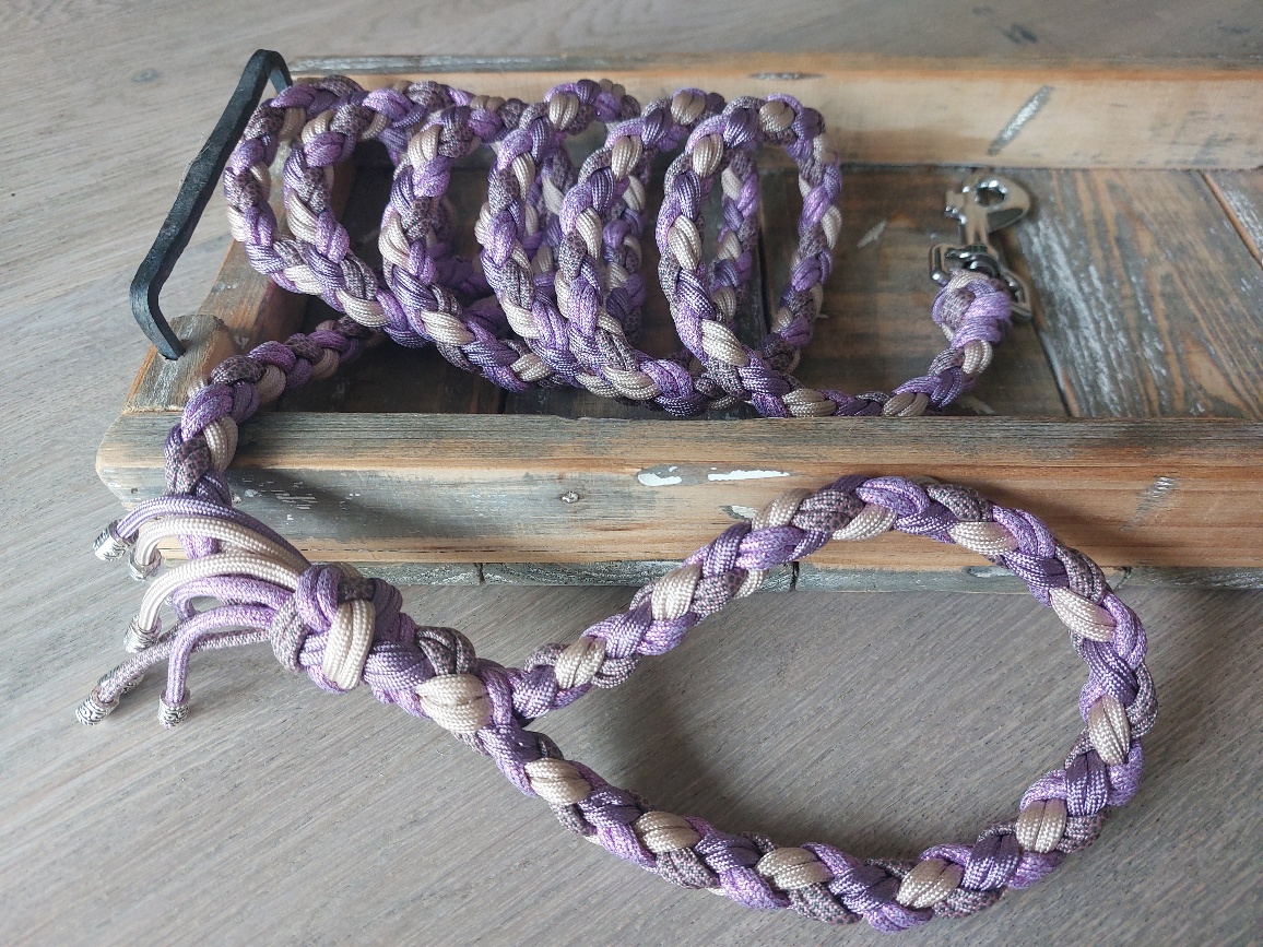 Hondenriem Bo purple