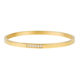 Armband Emily 4 mm goudkleuring M 2140, KalliKalli