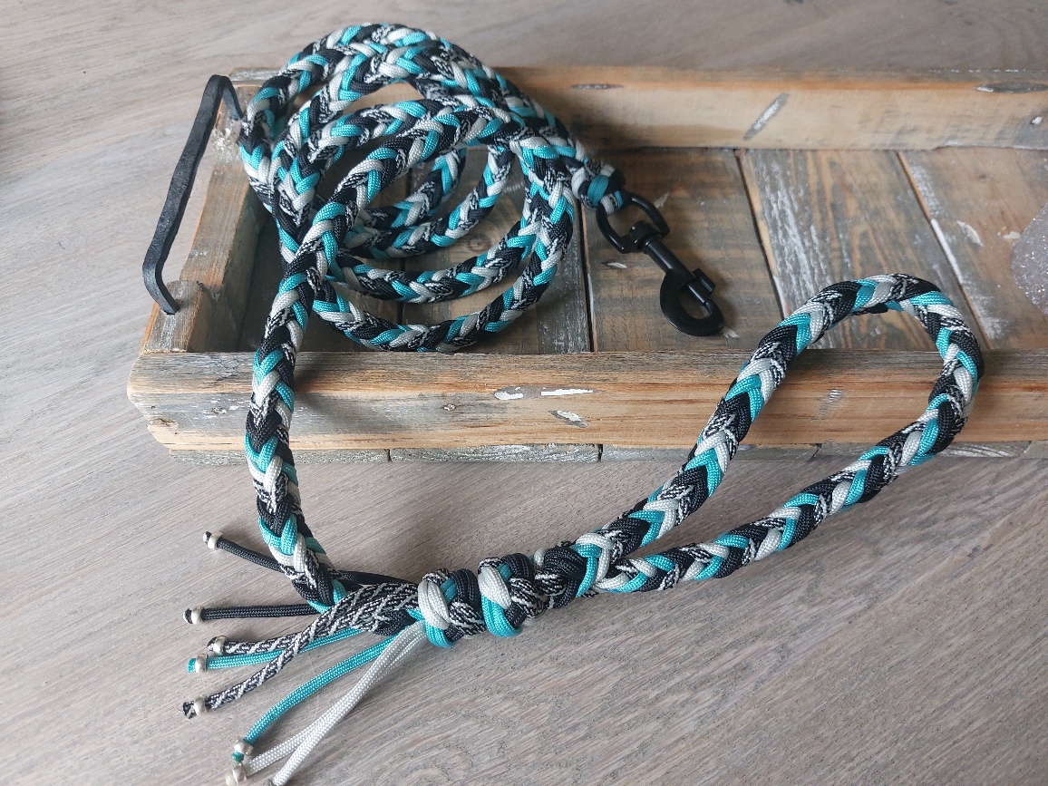 Hondenriem Luna black/blue