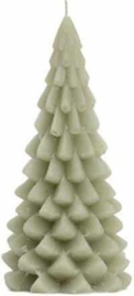 Kerstboomkaars 'Eucalyptus' | medium