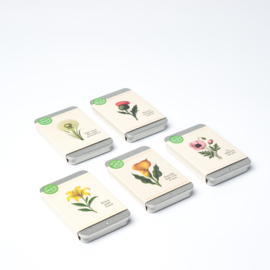 BLOEMEN - Super inzet, dat wordt gewaardeerd (x10 blikje suikervrije mints)