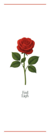 INSTEEKKAART - BLOEMEN Veel Liefs