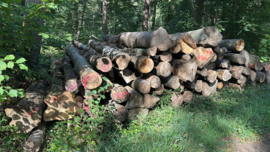 Brandhout - Beuken machinehout - lang