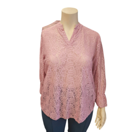 Shirt kant diverse kleuren