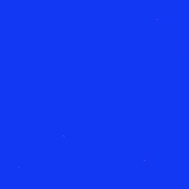 FLEX COBALT BLAUW ROL 30,5*50CM