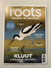 ROOTS