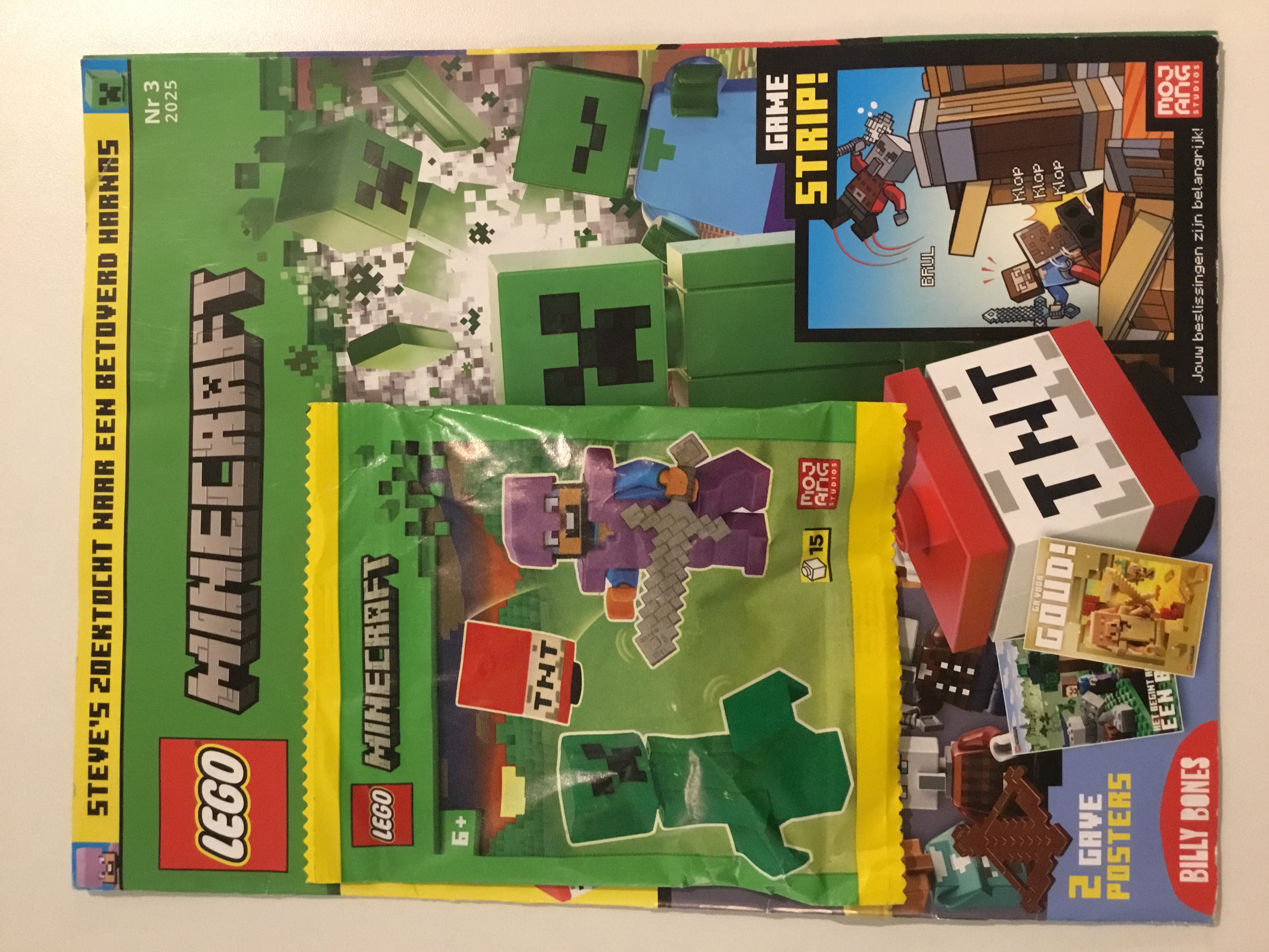 LEGO MINECRAFT