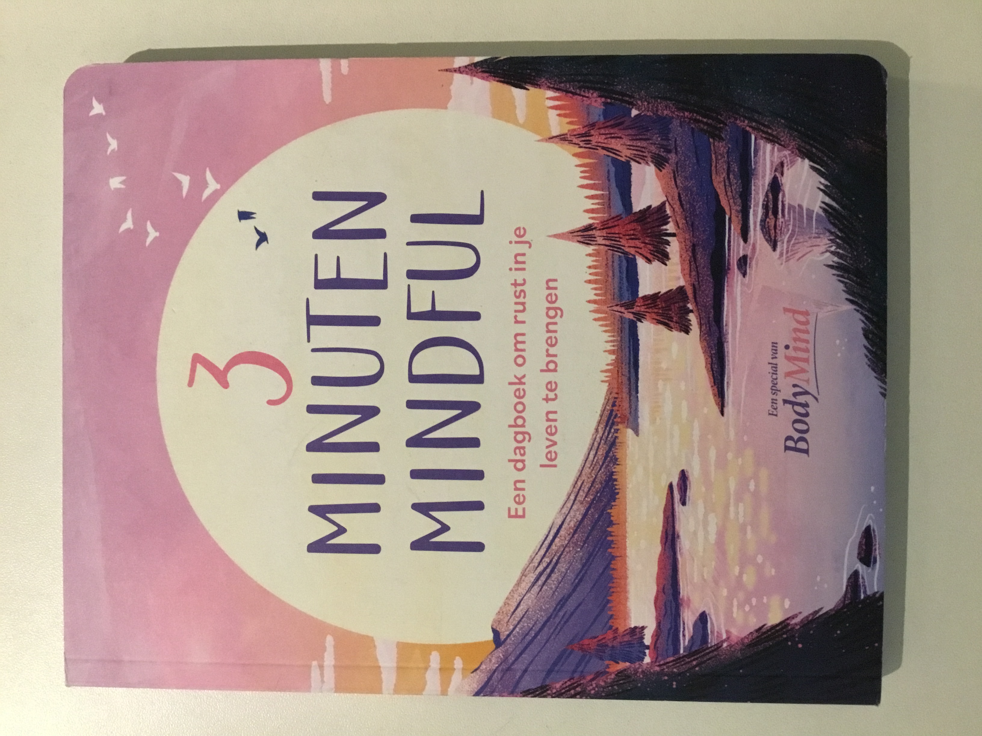 BODYMIND 3MINUTEN MINDFUL