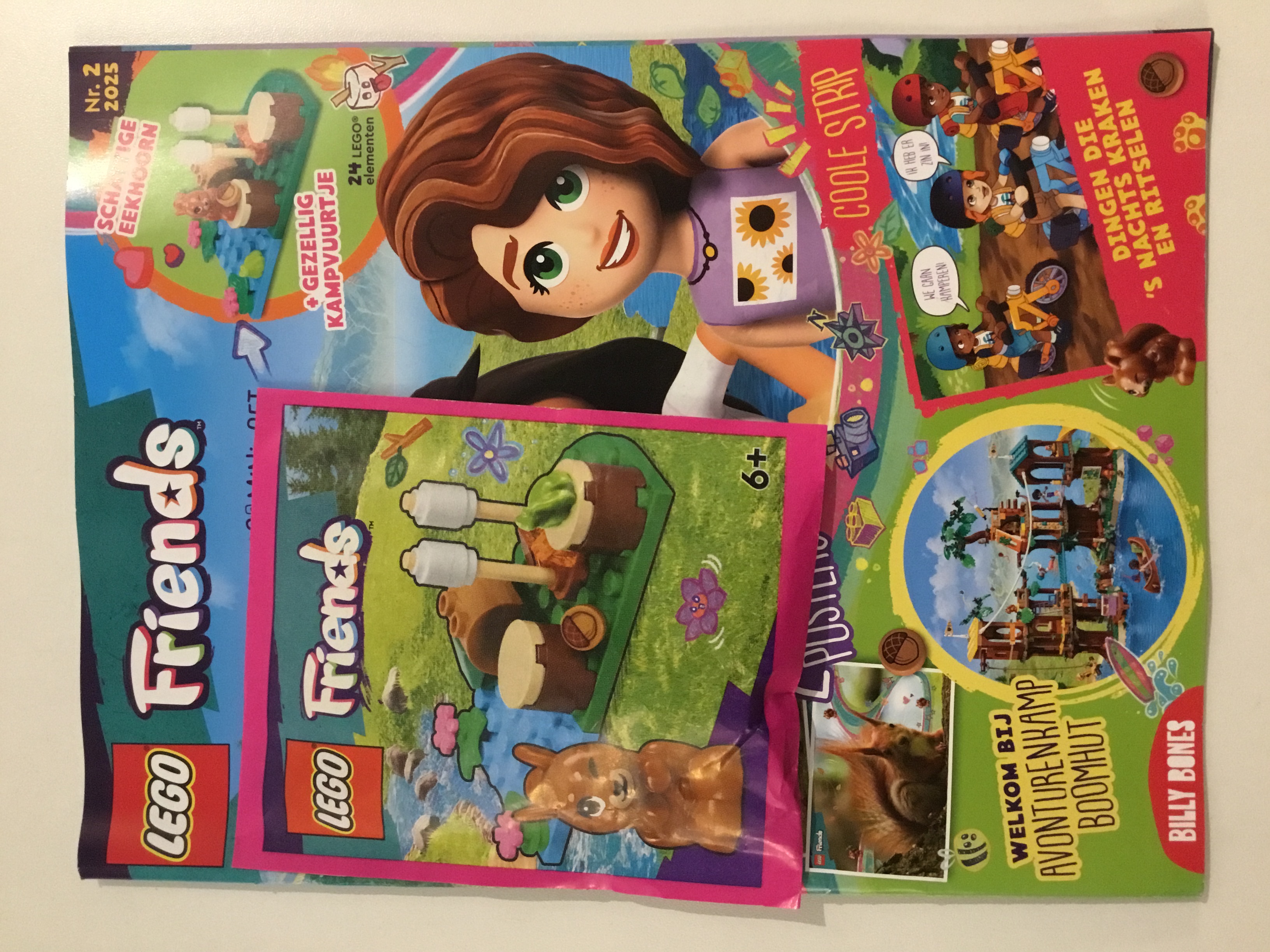 LEGO FRIENDS